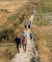 chemin de saint jacques - pelerinage de compostelle.jpg